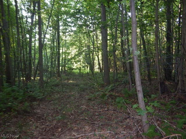 North County Line Road Geneva, OH 44041 - Photo 17 of 32