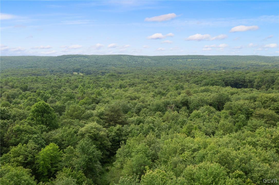 3378 Summer Valley Road, Unit LOT#5 New Ringgold, PA 17960 - Photo 27 of 33 Gallery Image 27