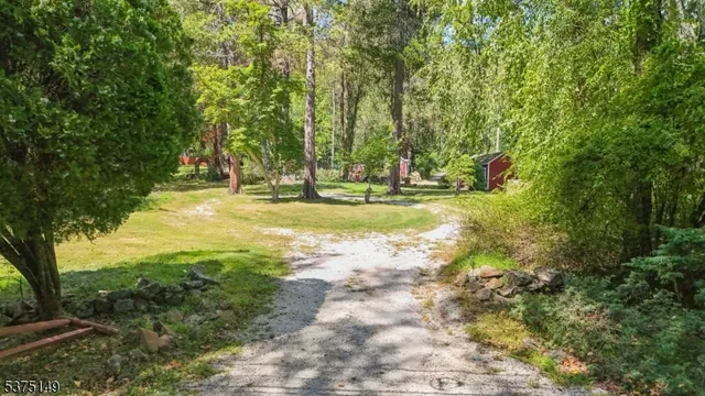 a view of a trees in a yard