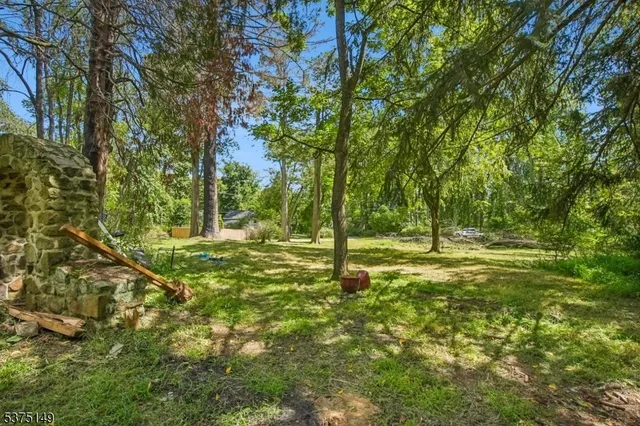 a view of outdoor space and yard