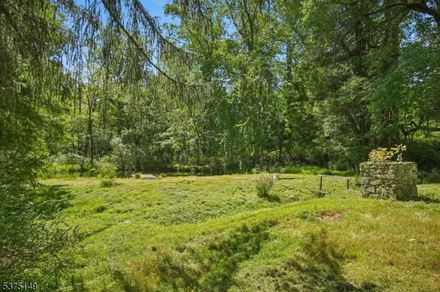 a view of a yard with plants and trees