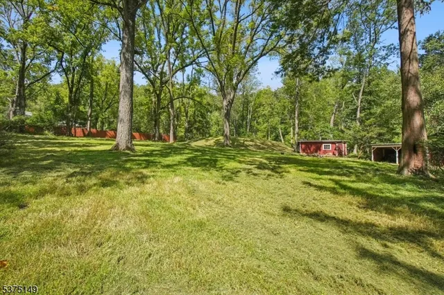 a view of a trees in a yard