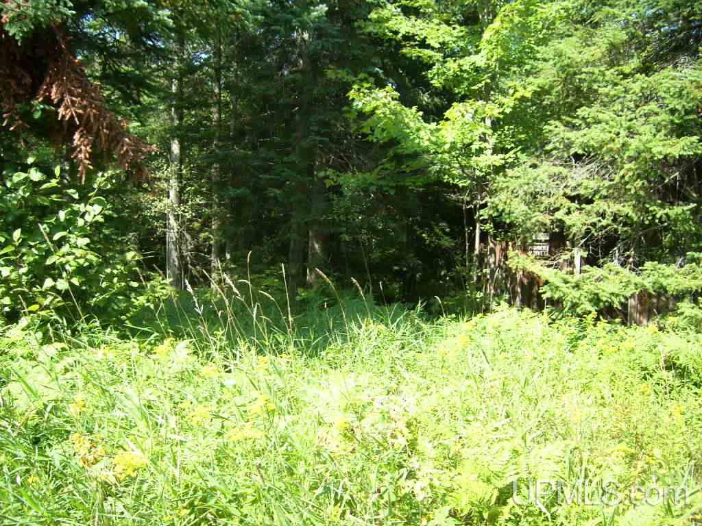 Off Lp Walsh Road Ontonagon, MI 49953 - Photo 1 of 1