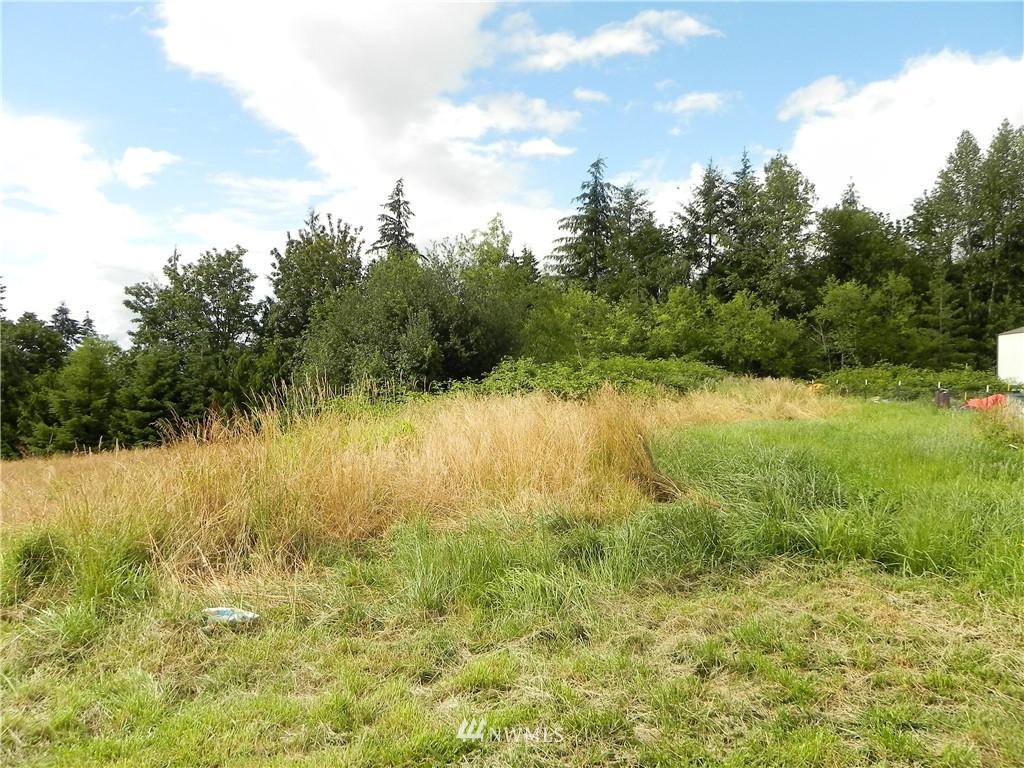 240 Holcomb Road Kelso, WA 98626 - Photo 23 of 24 Gallery Image 23