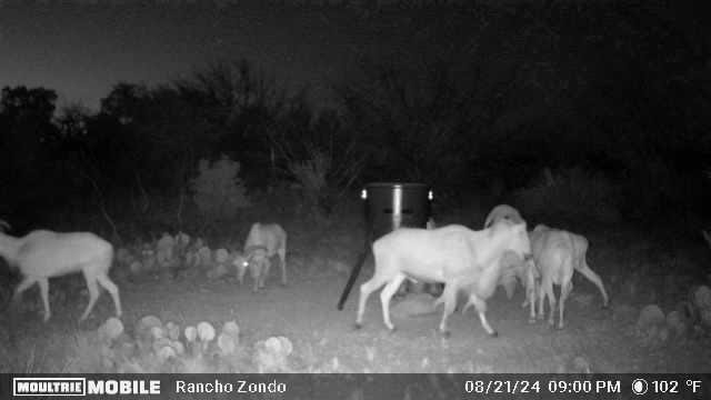 1529 Douglas Road Comstock, TX 78837 - Photo 12 of 12