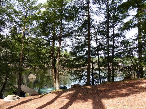 2039 B White Pond Road Athol, MA 01331 - Photo 23 of 28 a view of outdoor space with trees