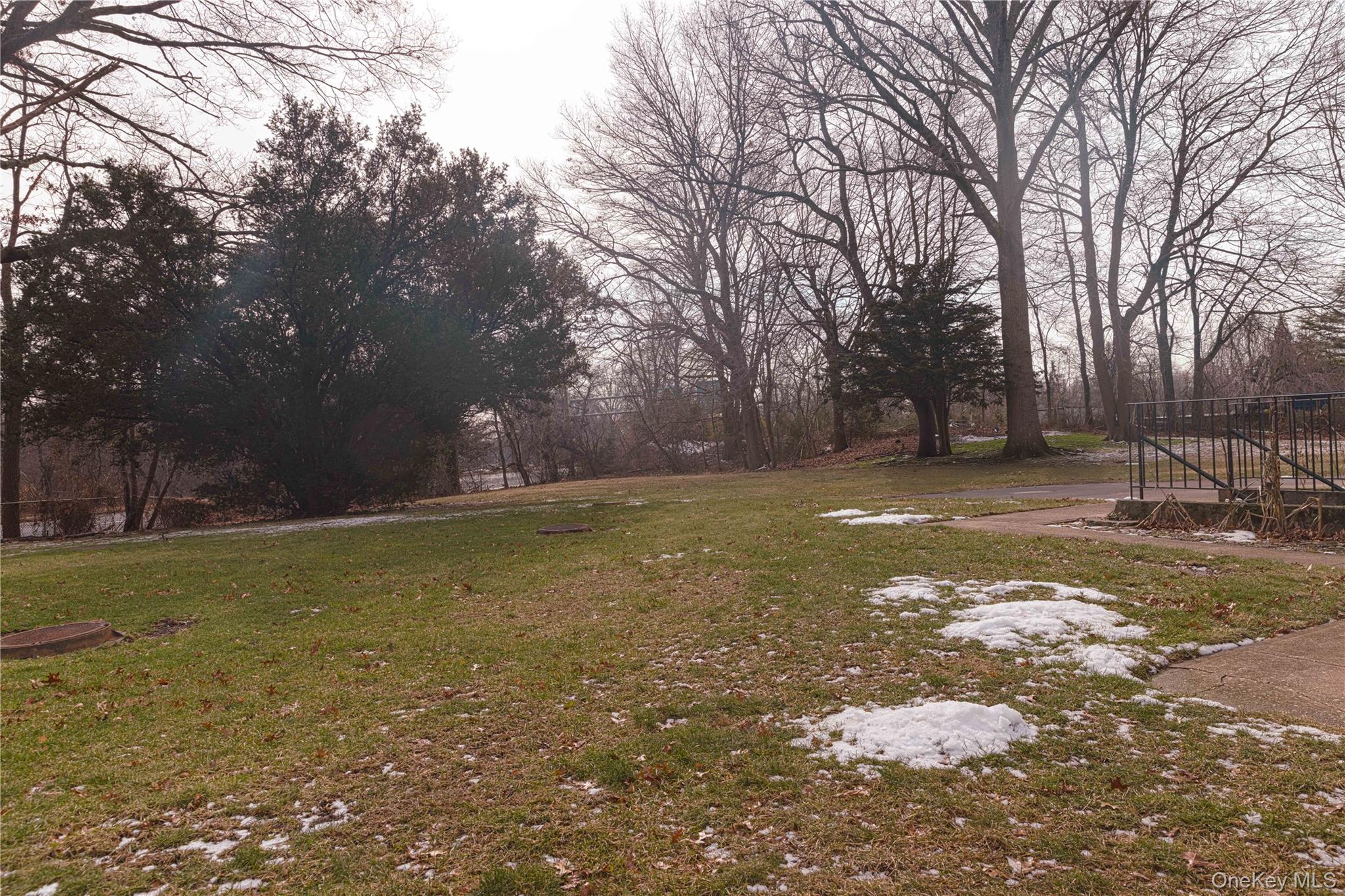 2 Old Cedar Swamp Road Jericho, NY 11753 - Photo 26 of 30 a view of a tree in the middle of a yard