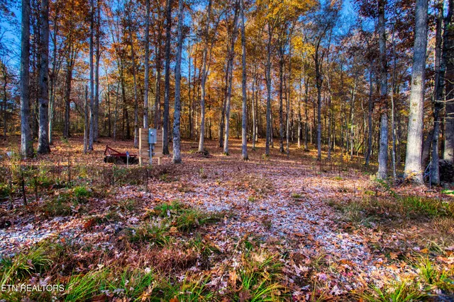 $388,900 | 54 East Ridge Road, Allardt, TN 38504