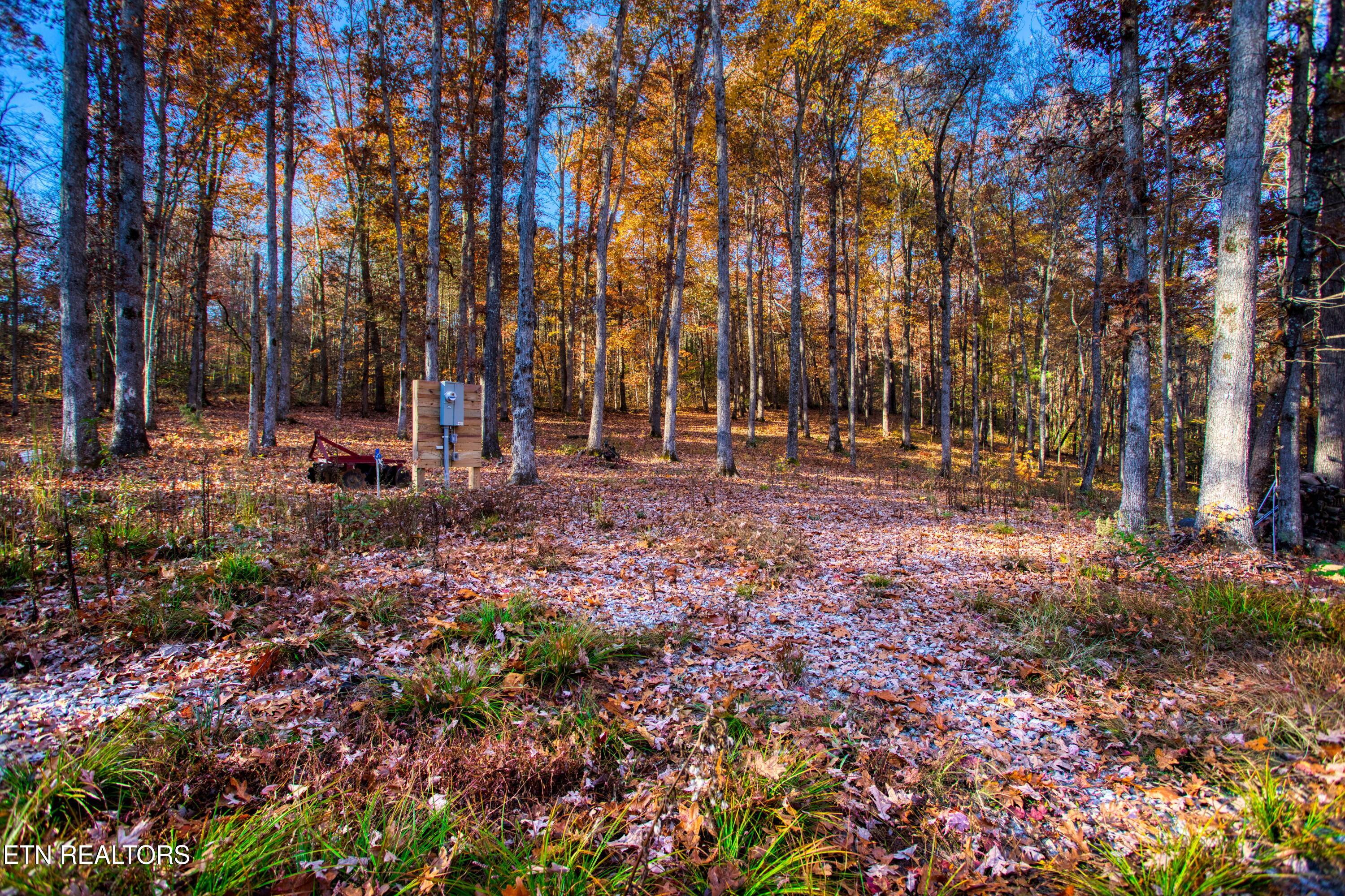 54 East Ridge Road Allardt, TN 38504 - Photo 1 of 45 EK3A5354