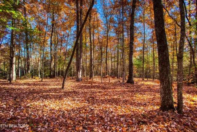 $388,900 | 54 East Ridge Road, Allardt, TN 38504