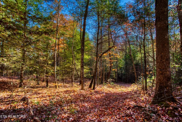 $388,900 | 54 East Ridge Road, Allardt, TN 38504