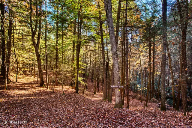 $388,900 | 54 East Ridge Road, Allardt, TN 38504