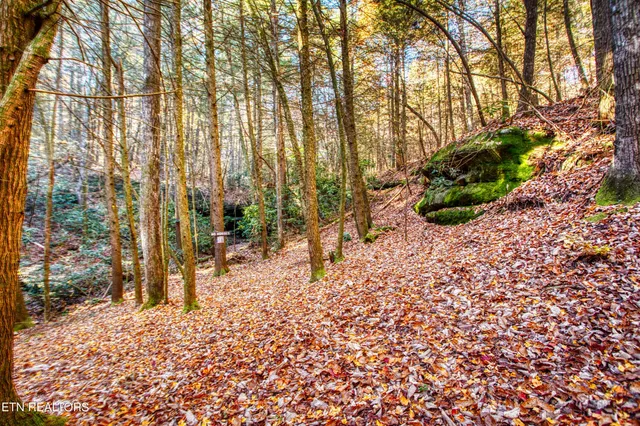 $388,900 | 54 East Ridge Road, Allardt, TN 38504