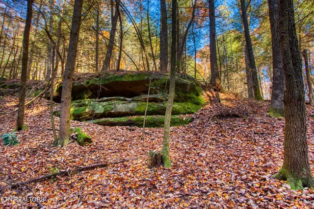 $388,900 | 54 East Ridge Road, Allardt, TN 38504