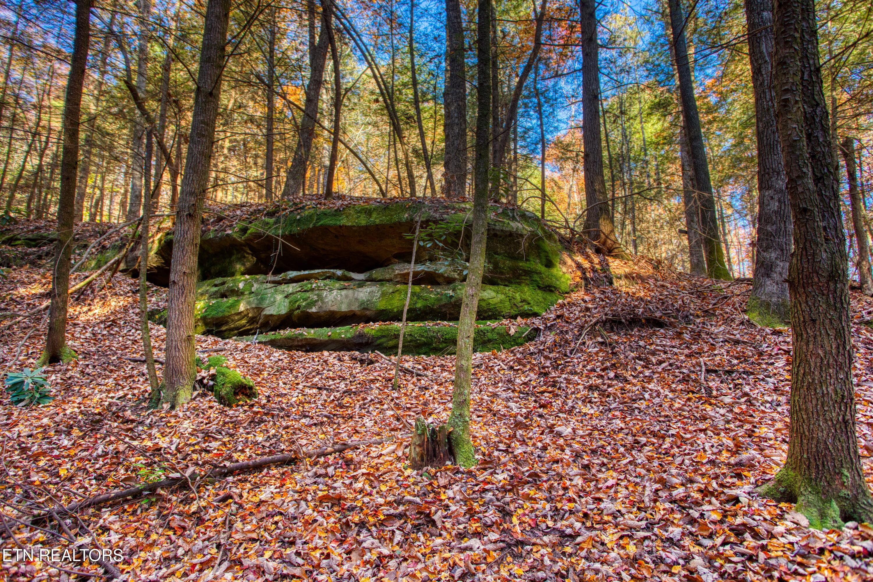 54 East Ridge Road Allardt, TN 38504 - Photo 17 of 45 EK3A5446