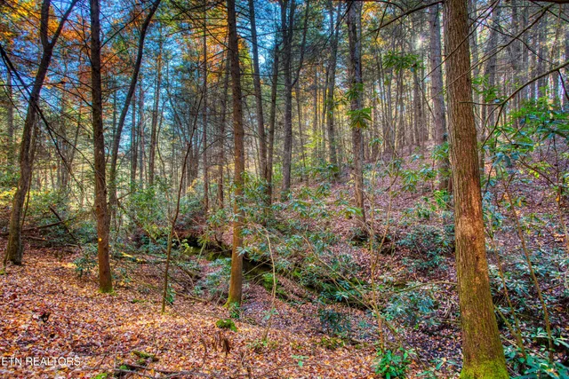 $388,900 | 54 East Ridge Road, Allardt, TN 38504