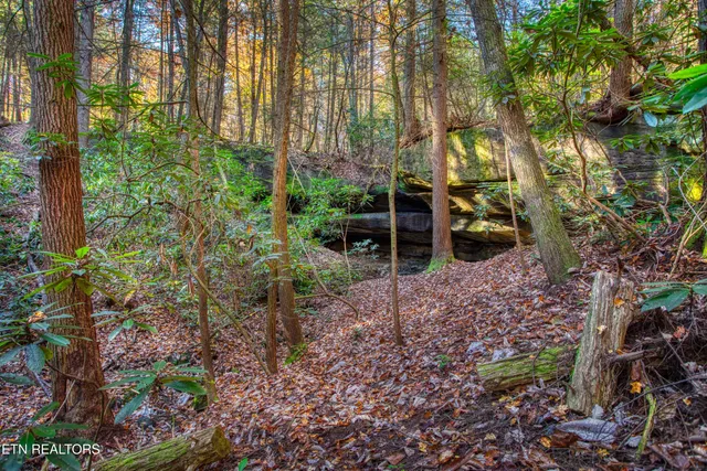 $388,900 | 54 East Ridge Road, Allardt, TN 38504