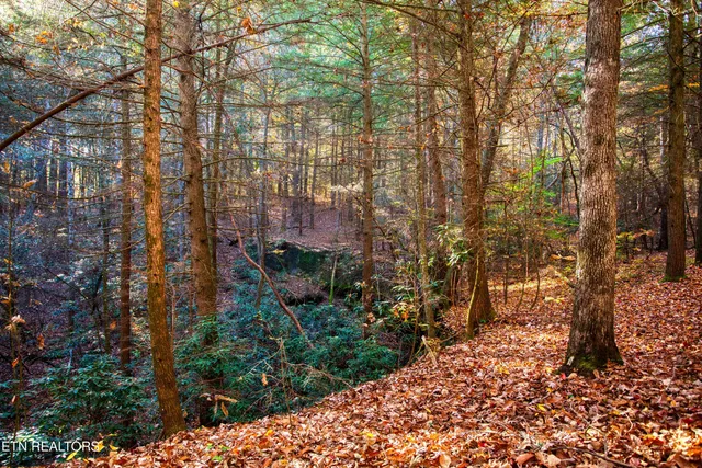 $388,900 | 54 East Ridge Road, Allardt, TN 38504