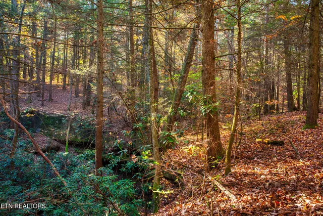 $388,900 | 54 East Ridge Road, Allardt, TN 38504