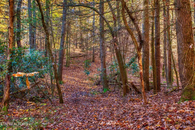 $388,900 | 54 East Ridge Road, Allardt, TN 38504