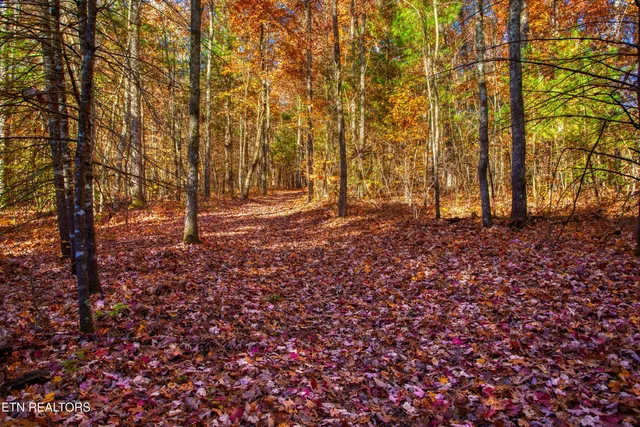 $388,900 | 54 East Ridge Road, Allardt, TN 38504