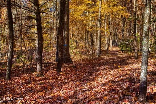 $388,900 | 54 East Ridge Road, Allardt, TN 38504