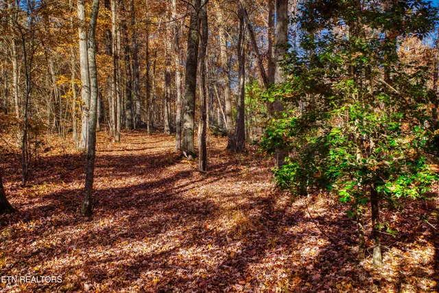 $388,900 | 54 East Ridge Road, Allardt, TN 38504