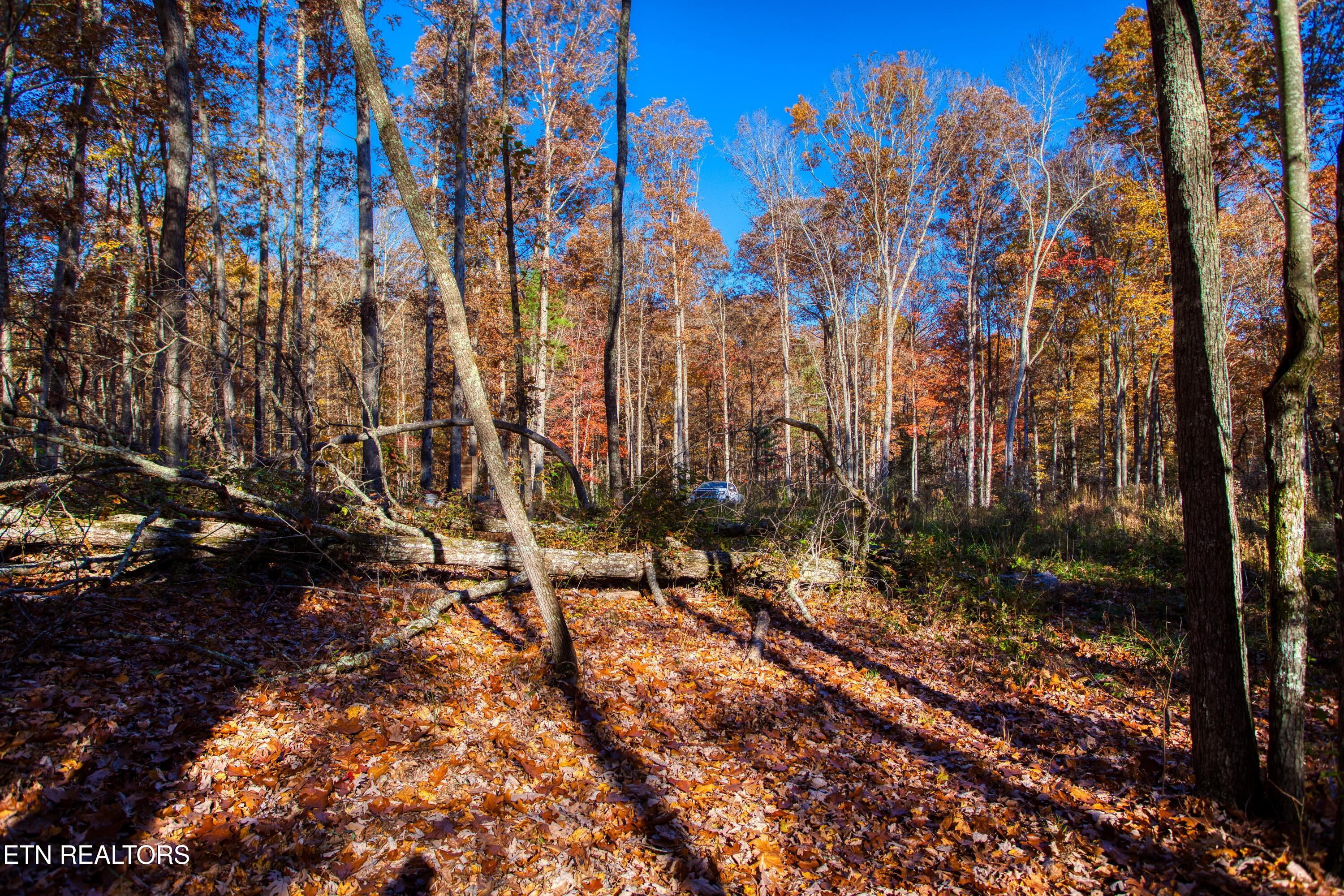 54 East Ridge Road Allardt, TN 38504 - Photo 28 of 45 EK3A5530