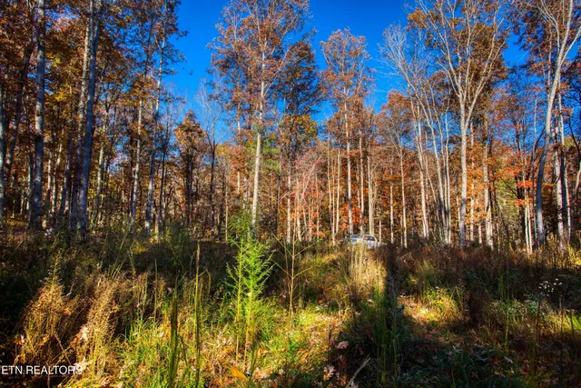 $388,900 | 54 East Ridge Road, Allardt, TN 38504