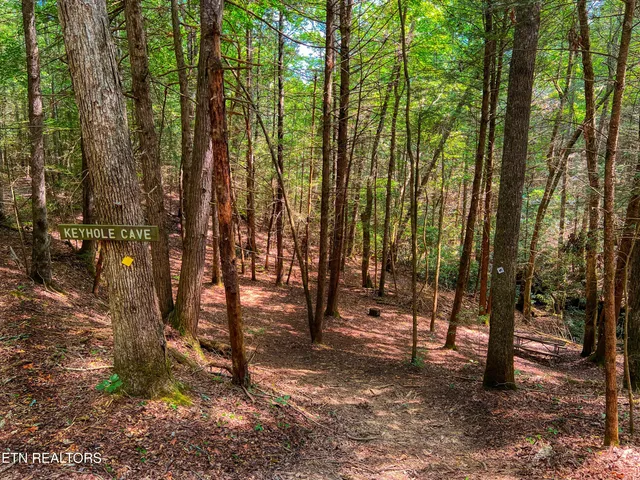 $388,900 | 54 East Ridge Road, Allardt, TN 38504