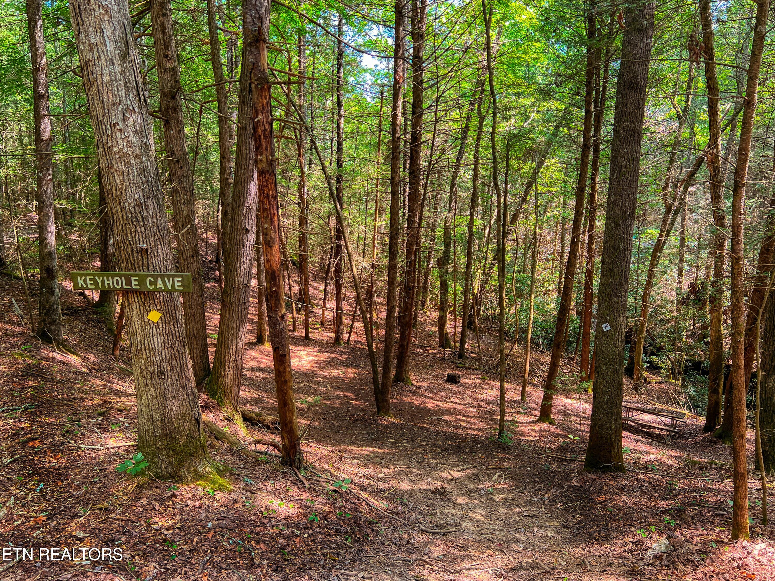 54 East Ridge Road Allardt, TN 38504 - Photo 3 of 45 DJI_20240909_121059_716