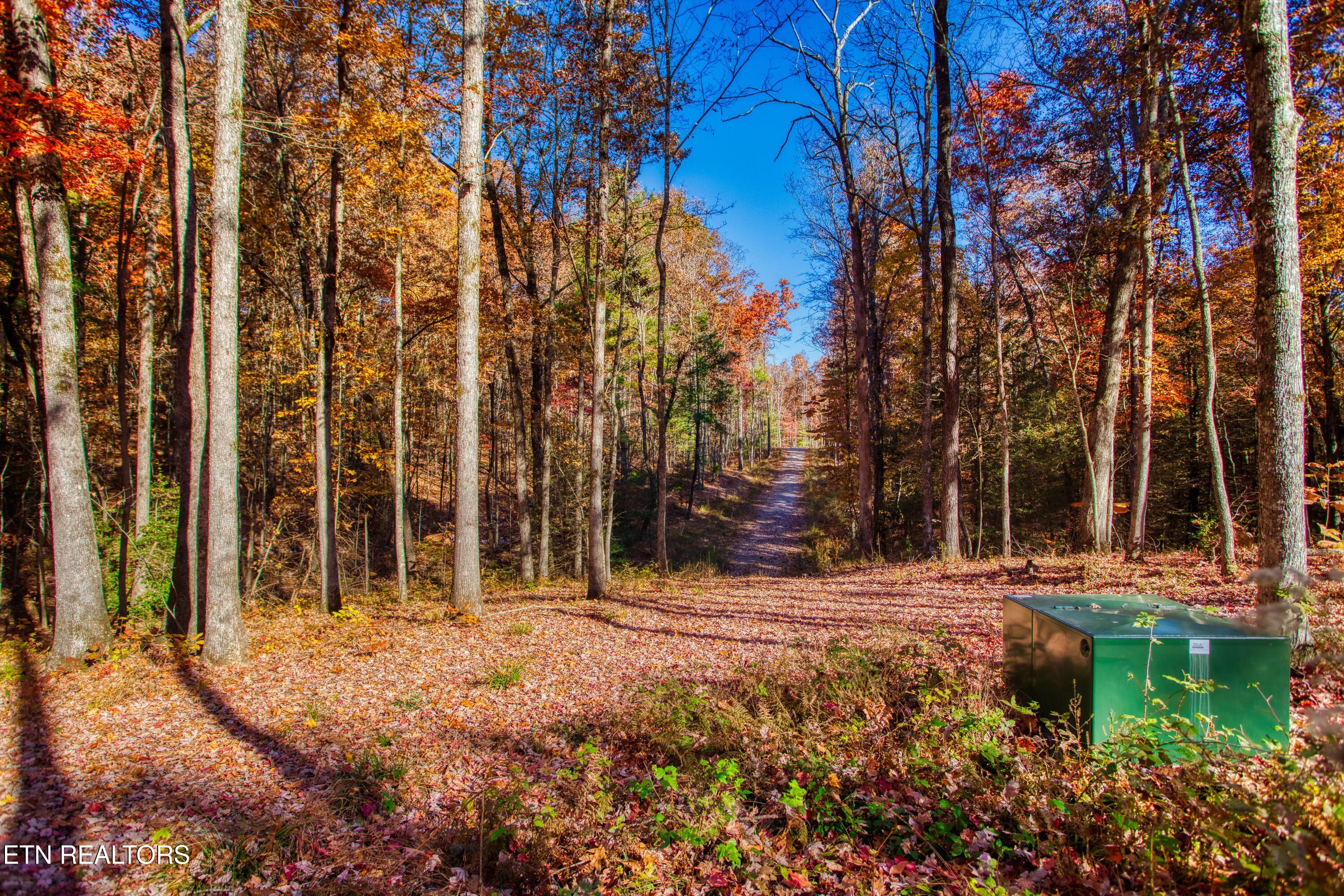 54 East Ridge Road Allardt, TN 38504 - Photo 32 of 45 EK3A5563