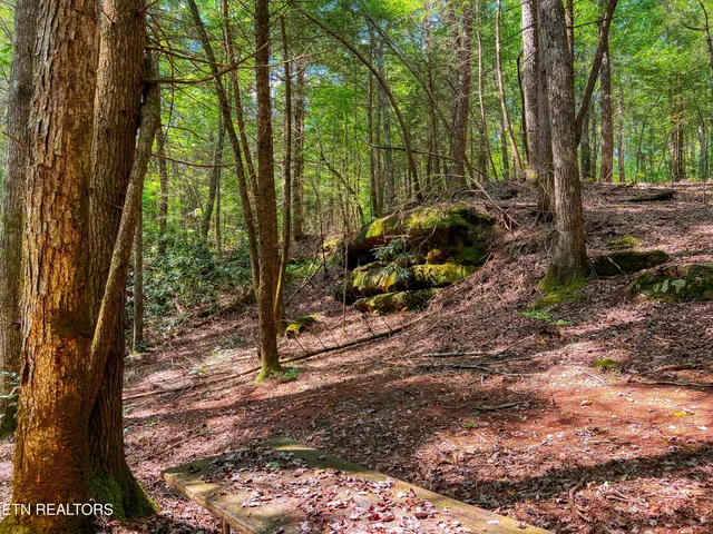 $388,900 | 54 East Ridge Road, Allardt, TN 38504