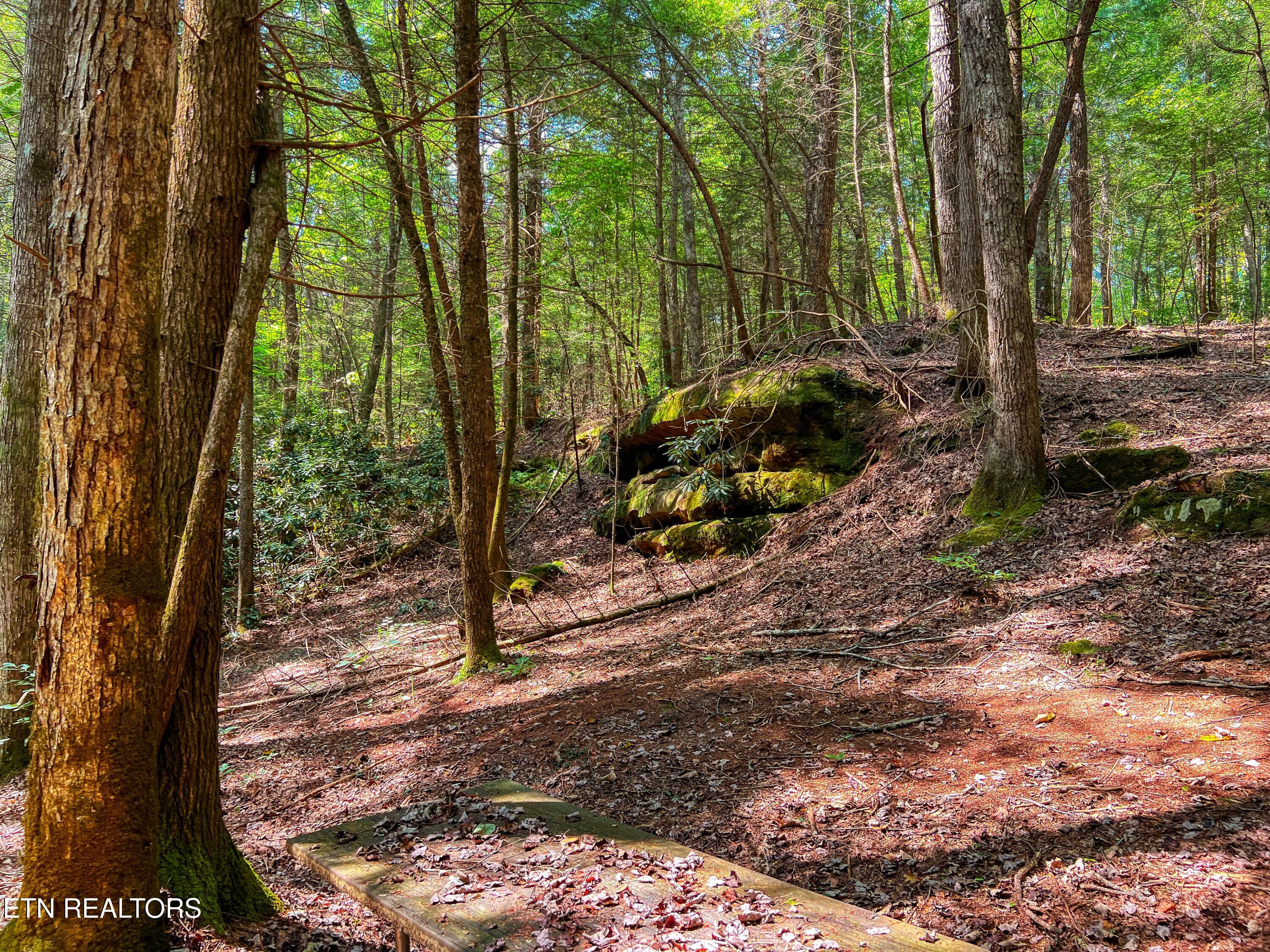 54 East Ridge Road Allardt, TN 38504 - Photo 33 of 45 DJI_20240909_115521_796