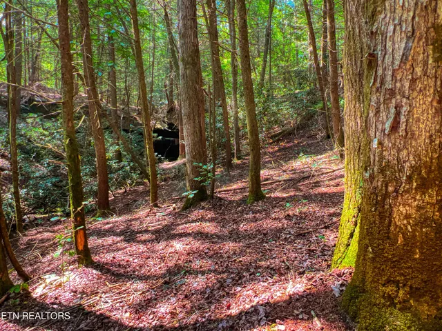 $388,900 | 54 East Ridge Road, Allardt, TN 38504