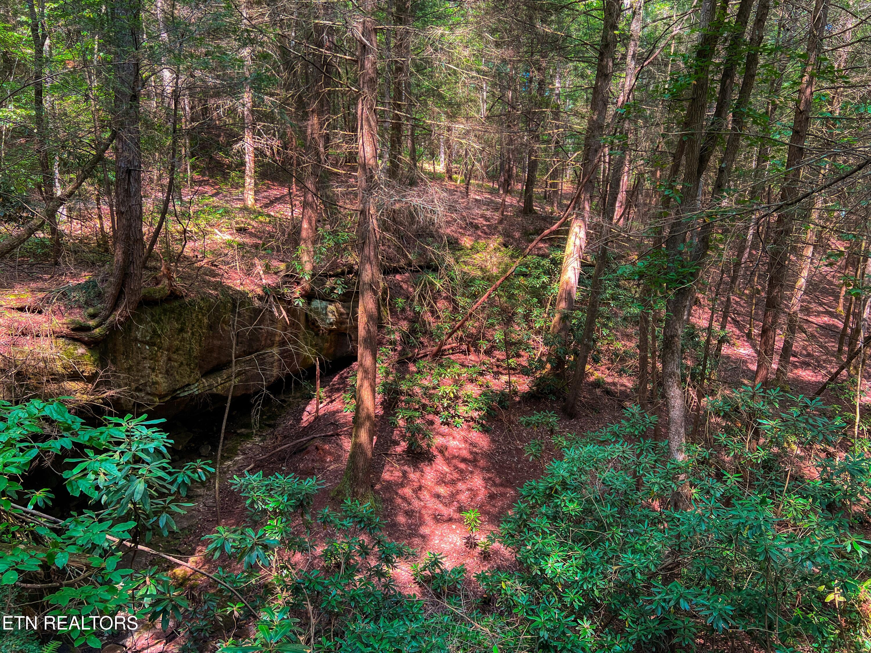 54 East Ridge Road Allardt, TN 38504 - Photo 35 of 45 DJI_20240909_120253_396