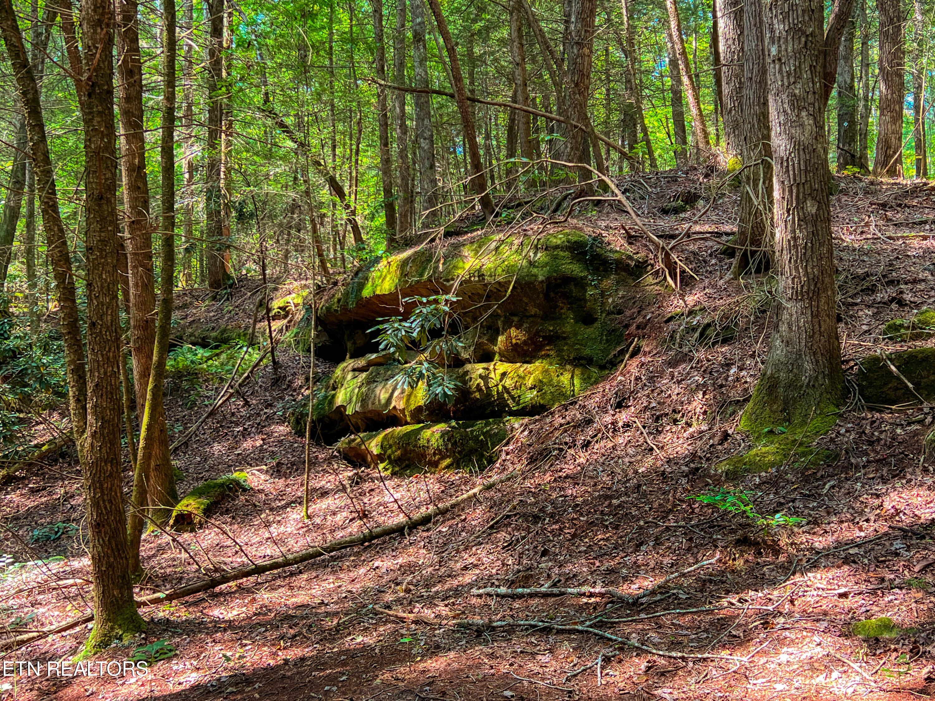 54 East Ridge Road Allardt, TN 38504 - Photo 36 of 45 DJI_20240909_115538_659