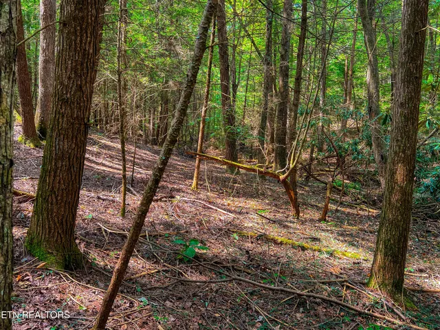 $388,900 | 54 East Ridge Road, Allardt, TN 38504