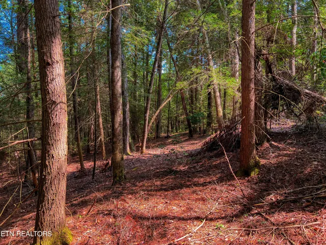 $388,900 | 54 East Ridge Road, Allardt, TN 38504