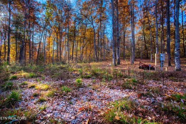 $388,900 | 54 East Ridge Road, Allardt, TN 38504