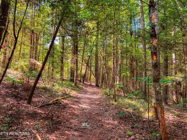 $388,900 | 54 East Ridge Road, Allardt, TN 38504