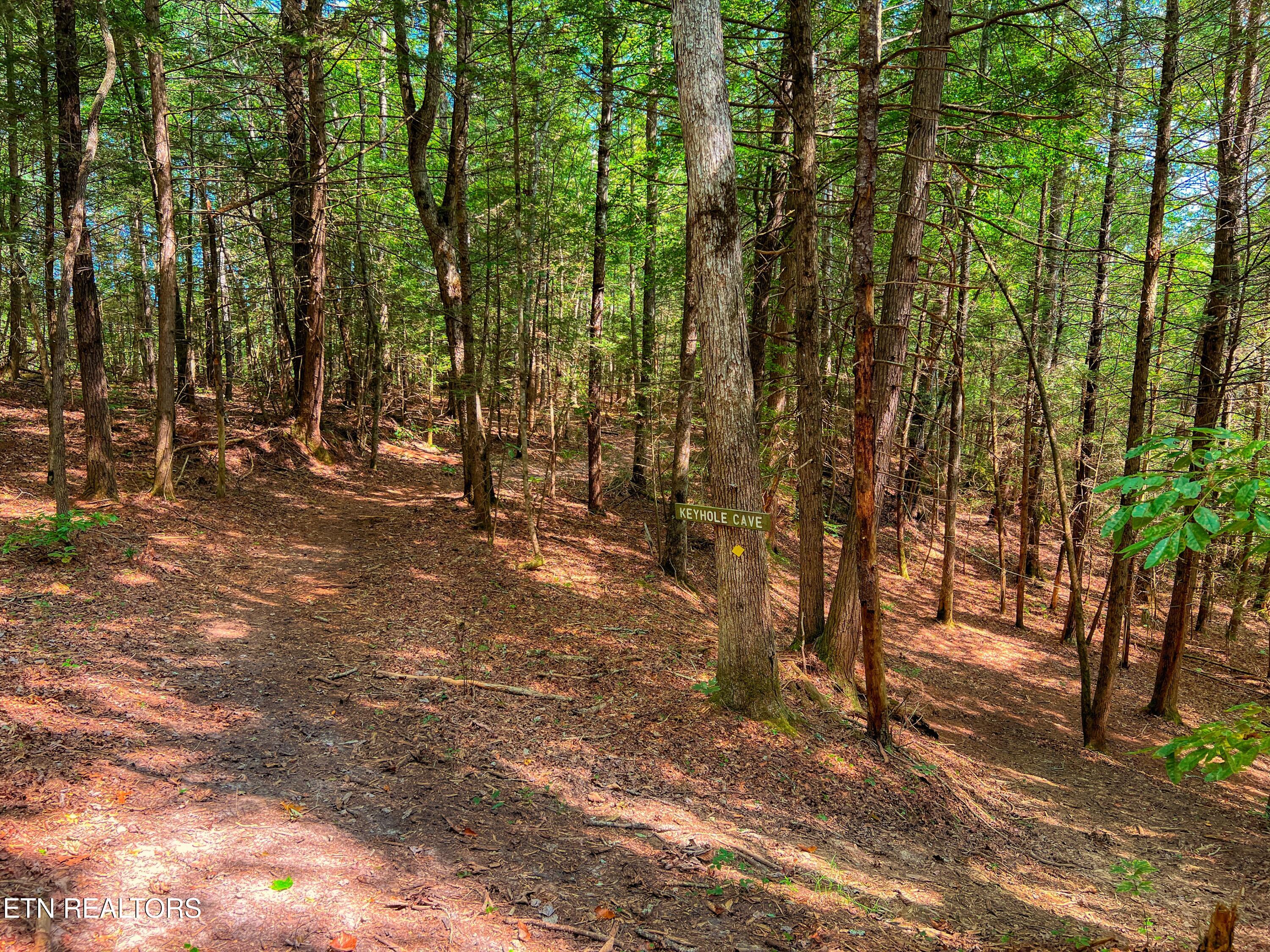 54 East Ridge Road Allardt, TN 38504 - Photo 42 of 45 DJI_20240909_121028_502