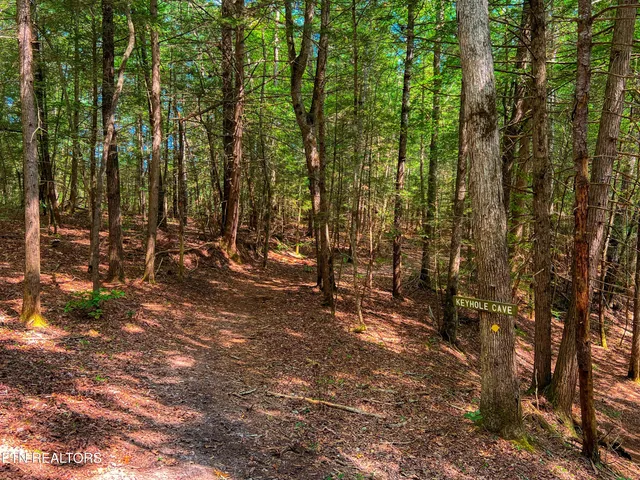 $388,900 | 54 East Ridge Road, Allardt, TN 38504