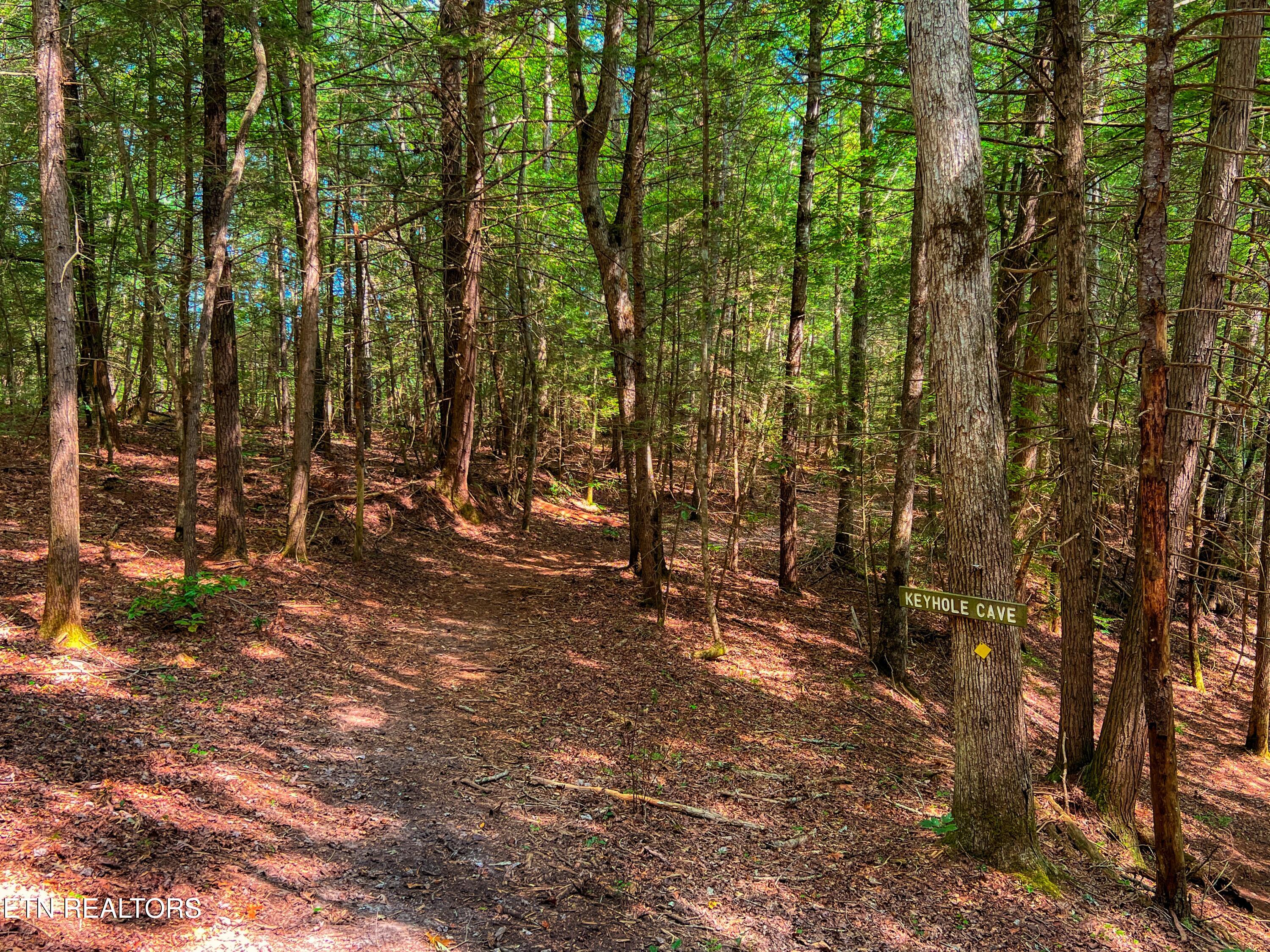 54 East Ridge Road Allardt, TN 38504 - Photo 43 of 45 DJI_20240909_121036_523