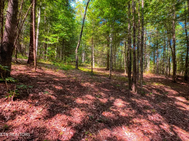 $388,900 | 54 East Ridge Road, Allardt, TN 38504