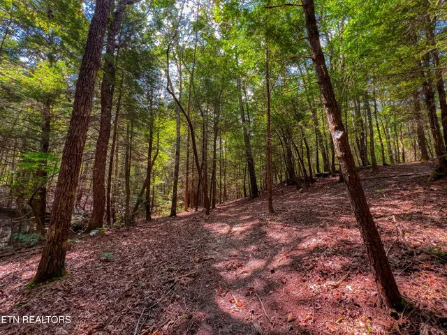 $388,900 | 54 East Ridge Road, Allardt, TN 38504