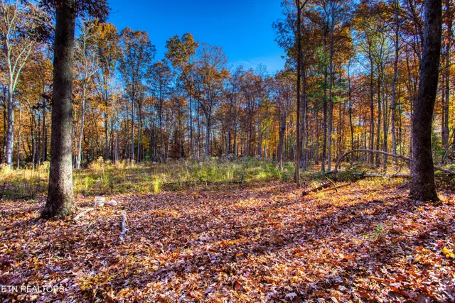 $388,900 | 54 East Ridge Road, Allardt, TN 38504