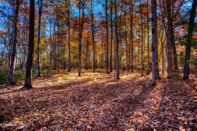 $388,900 | 54 East Ridge Road, Allardt, TN 38504