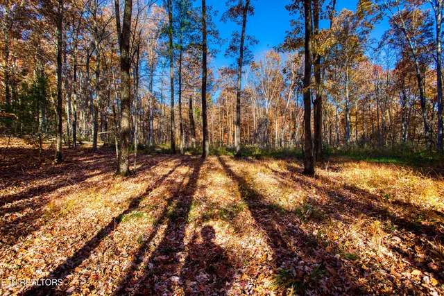 $388,900 | 54 East Ridge Road, Allardt, TN 38504