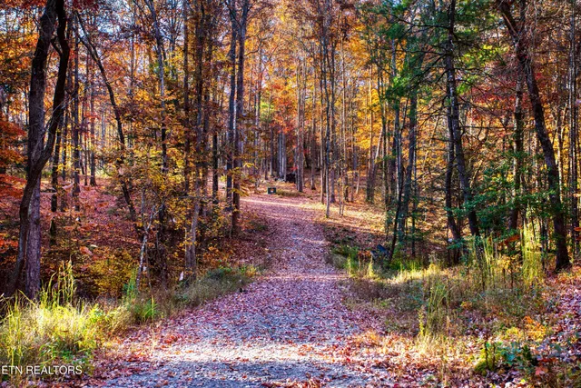 $388,900 | 54 East Ridge Road, Allardt, TN 38504